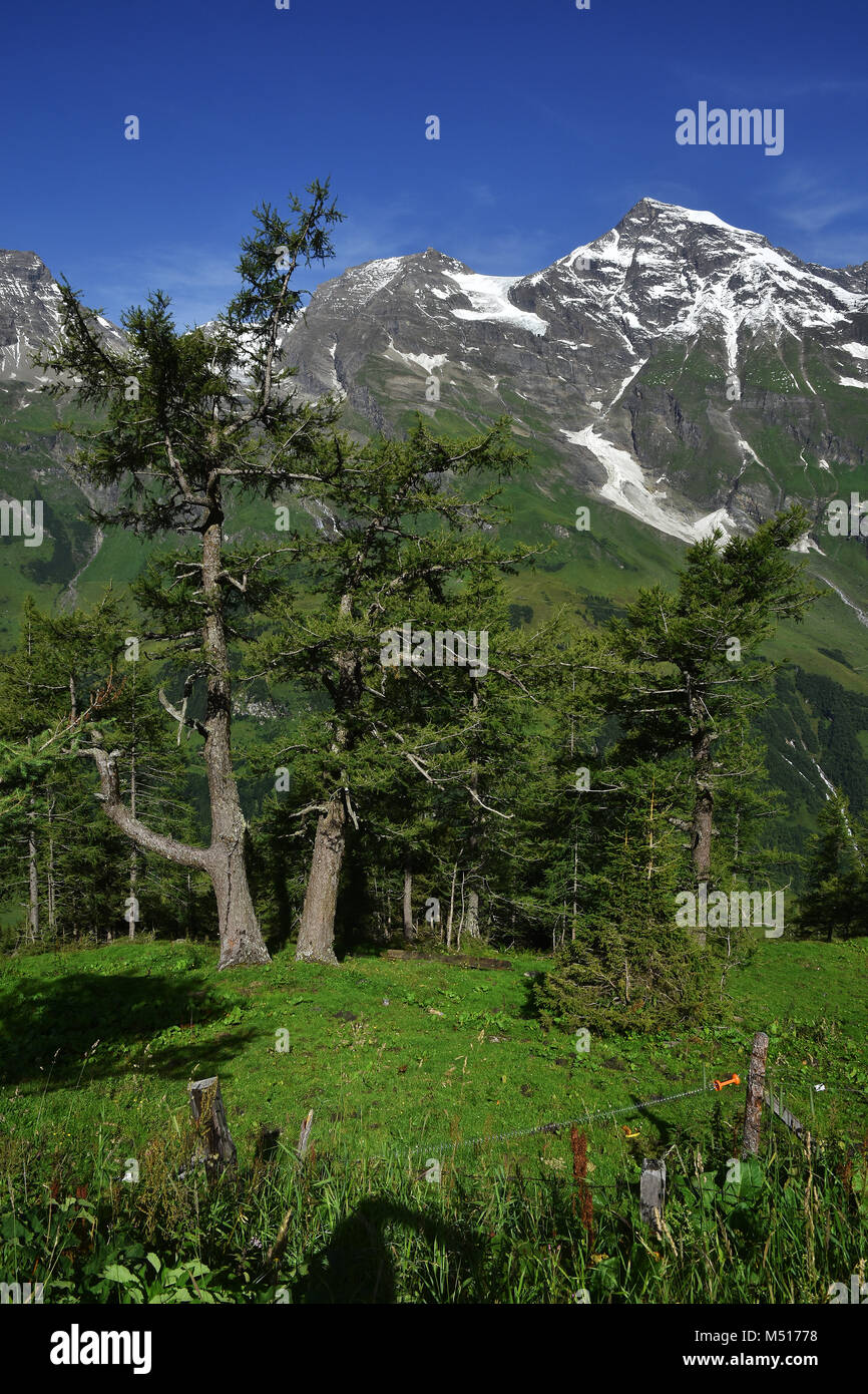 Glocknergroup; alps; Austria; Europe; Stock Photo