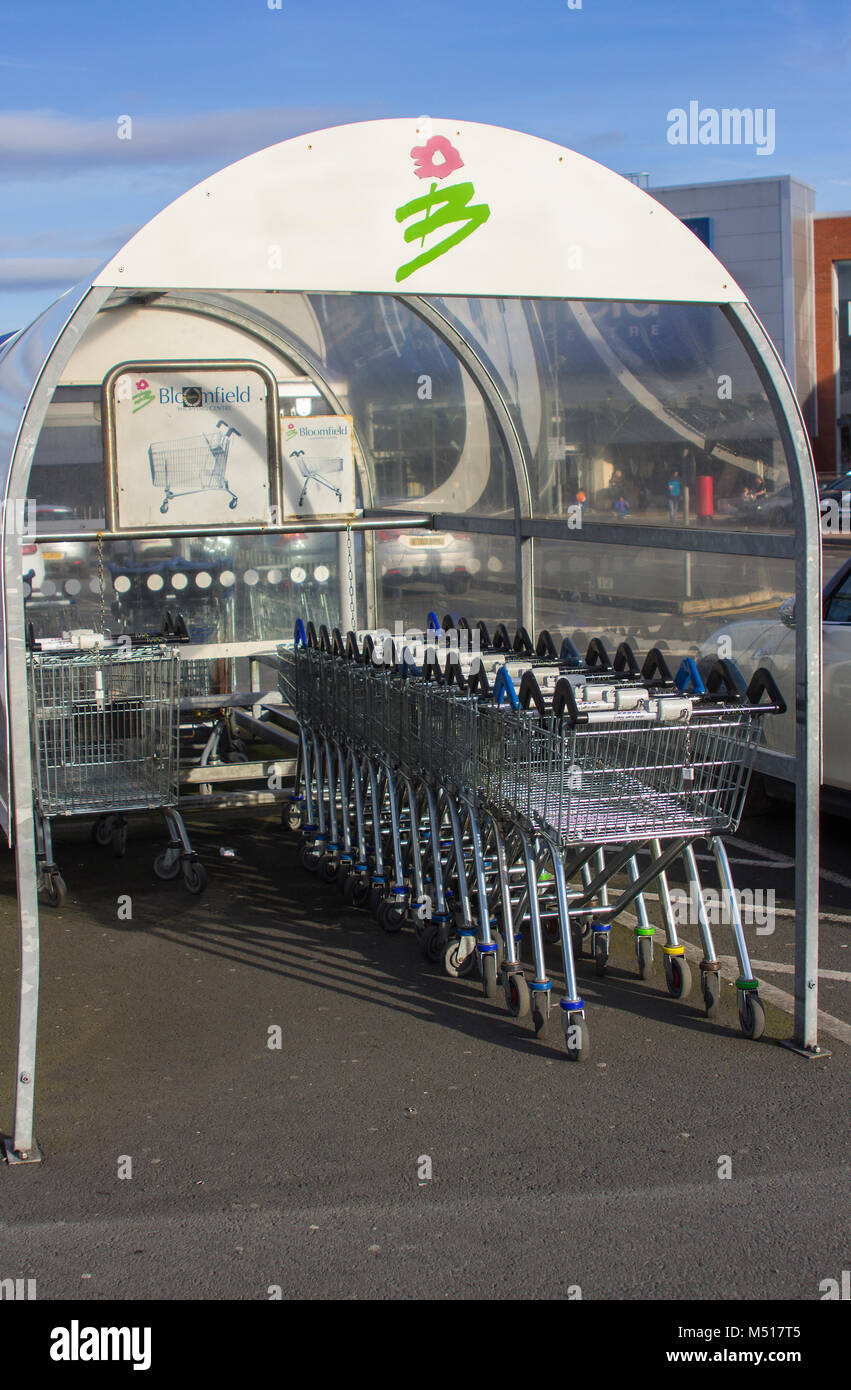 Shopping trolleys ready for customers at the front door of Bloomfield's