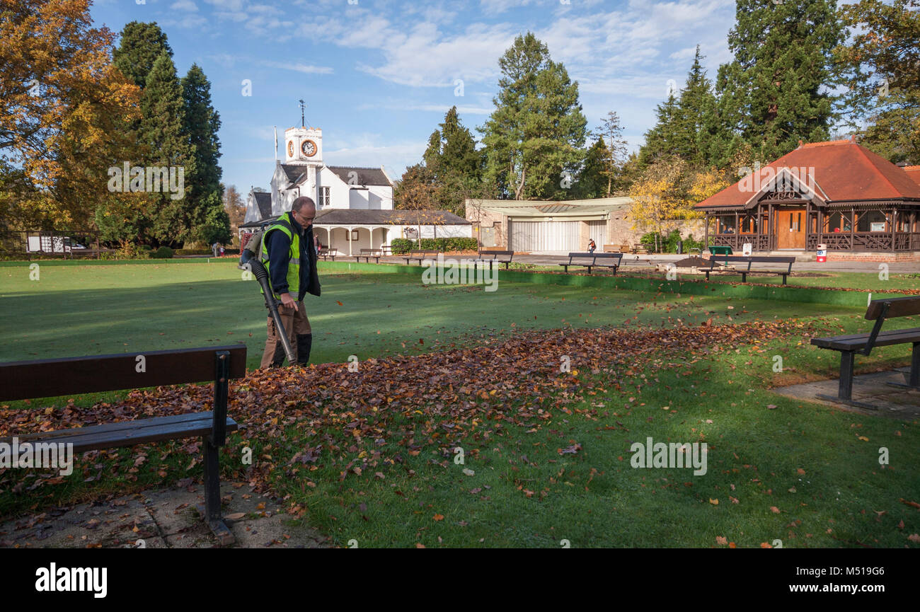 A gardener uses a leaf blower to clear the leaves off the bowling green at the South Park in Darlington, England, UK Stock Photo