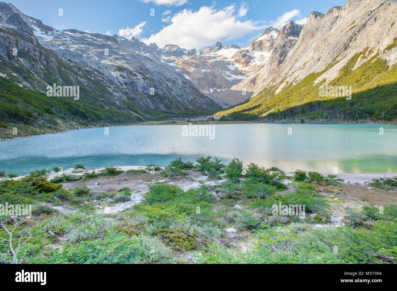 Esmeralda forrest hires stock photography and images Alamy