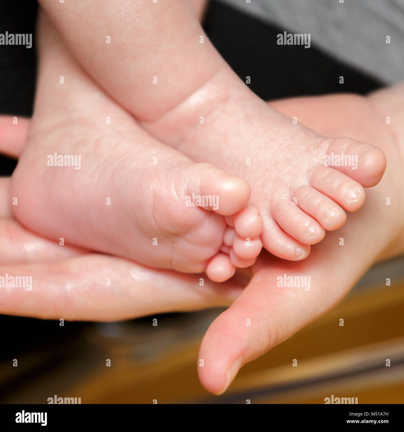 Feet of newborn baby in the hand of mother. Sweet baby's feet Stock Photo