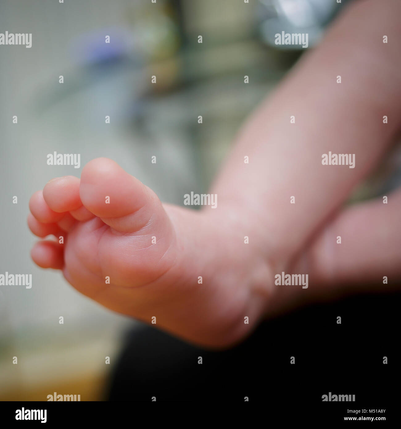 Feet of newborn baby in the hand of mother. Sweet baby's feet Stock Photo