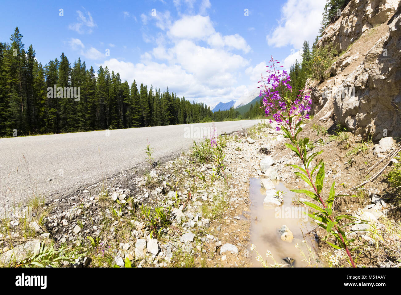 Road to morain lake british columbia canada Stock Photo