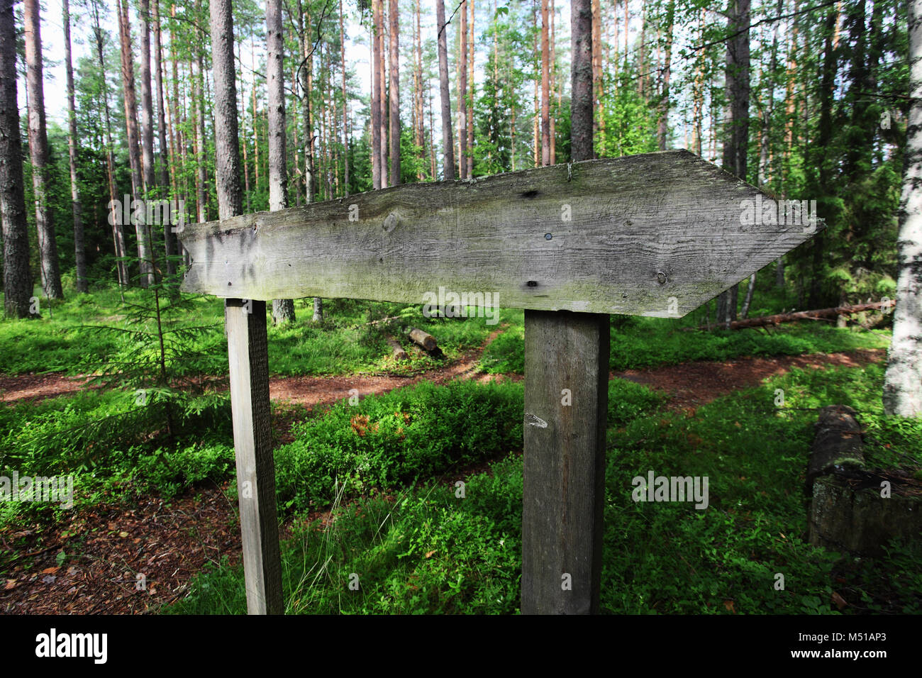 empty wooden pointer in the wood Stock Photo - Alamy