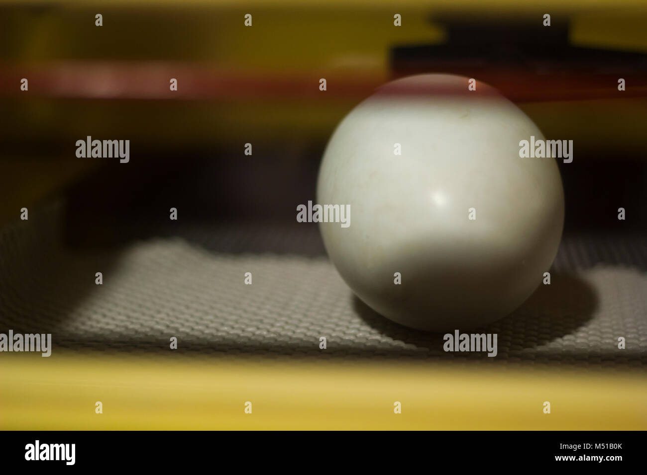 Kiwi bird egg hi-res stock photography and images - Alamy