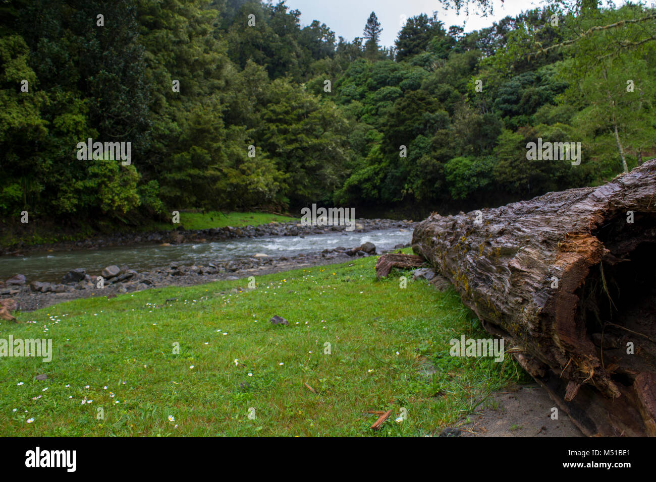 North Island Rivers Nz north island landscape hi-res stock photography and images - Alamy