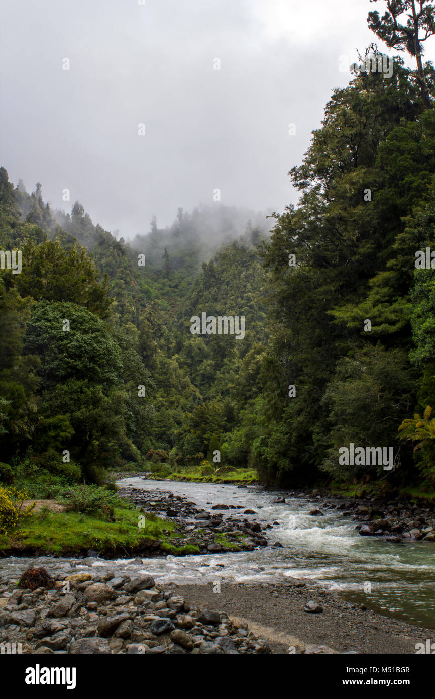 New Zealand landscape with mountains forest and river Stock Photo