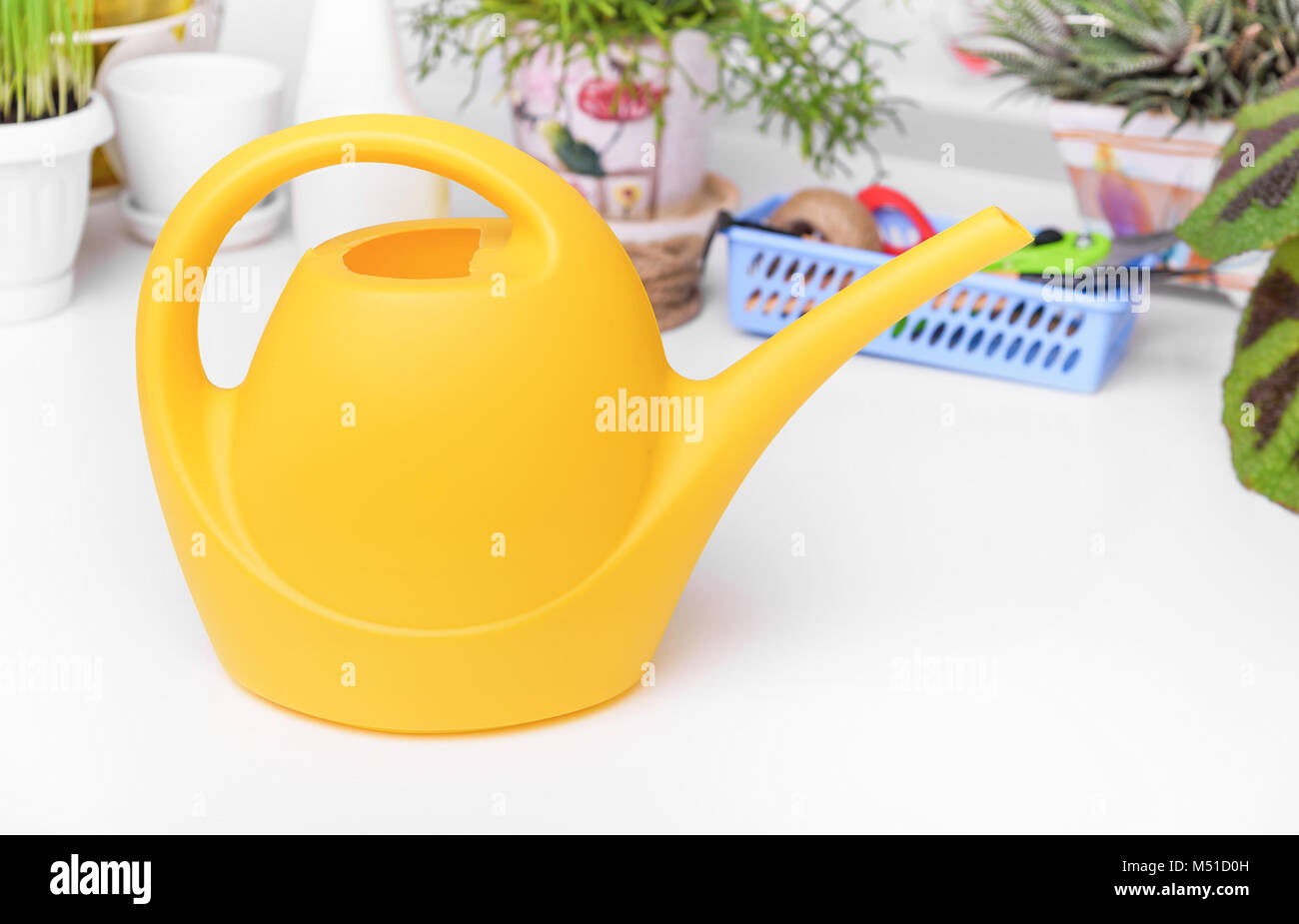 Watering can for watering indoor plants Stock Photo Alamy