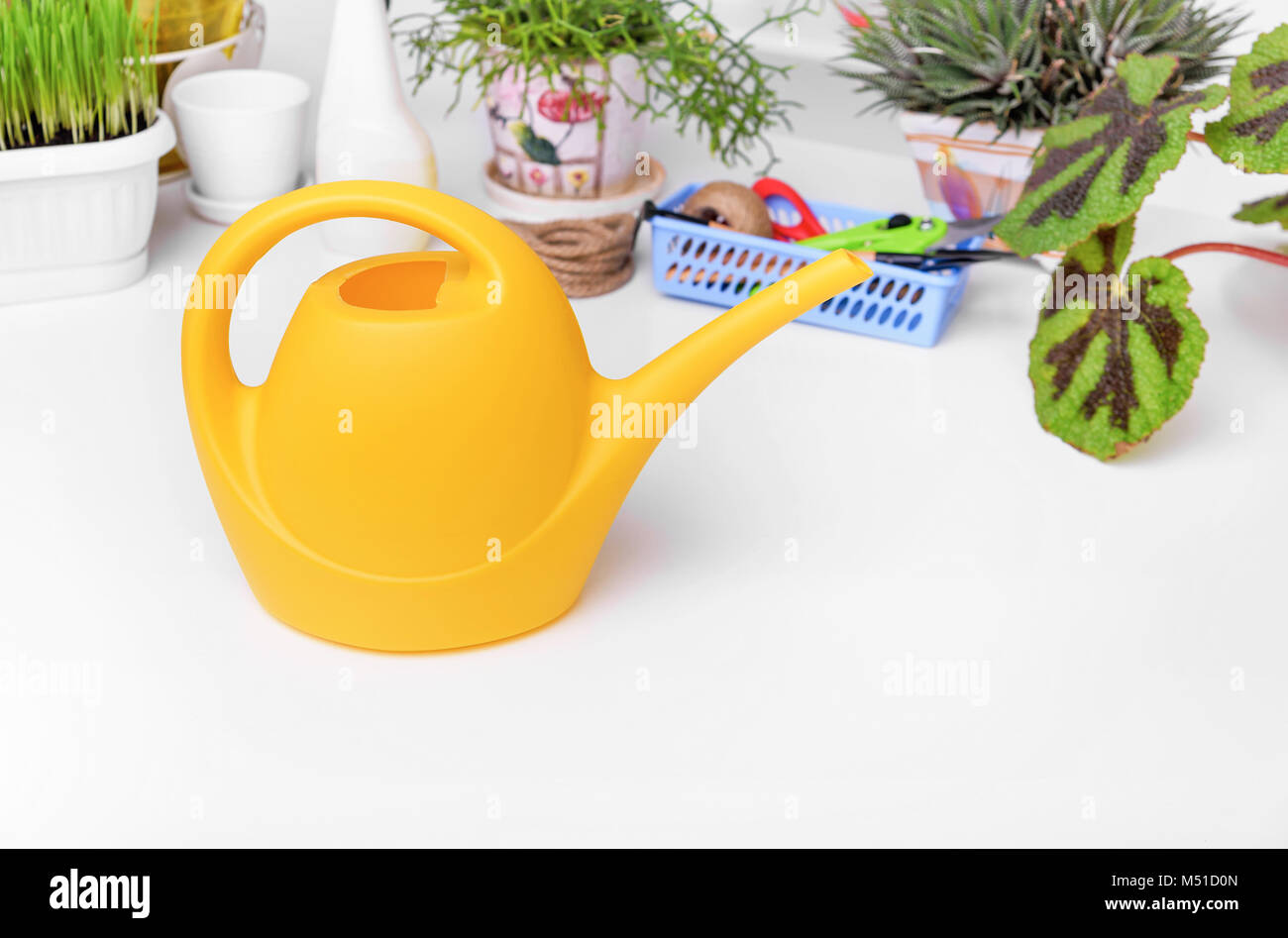 Watering can for watering indoor plants Stock Photo Alamy