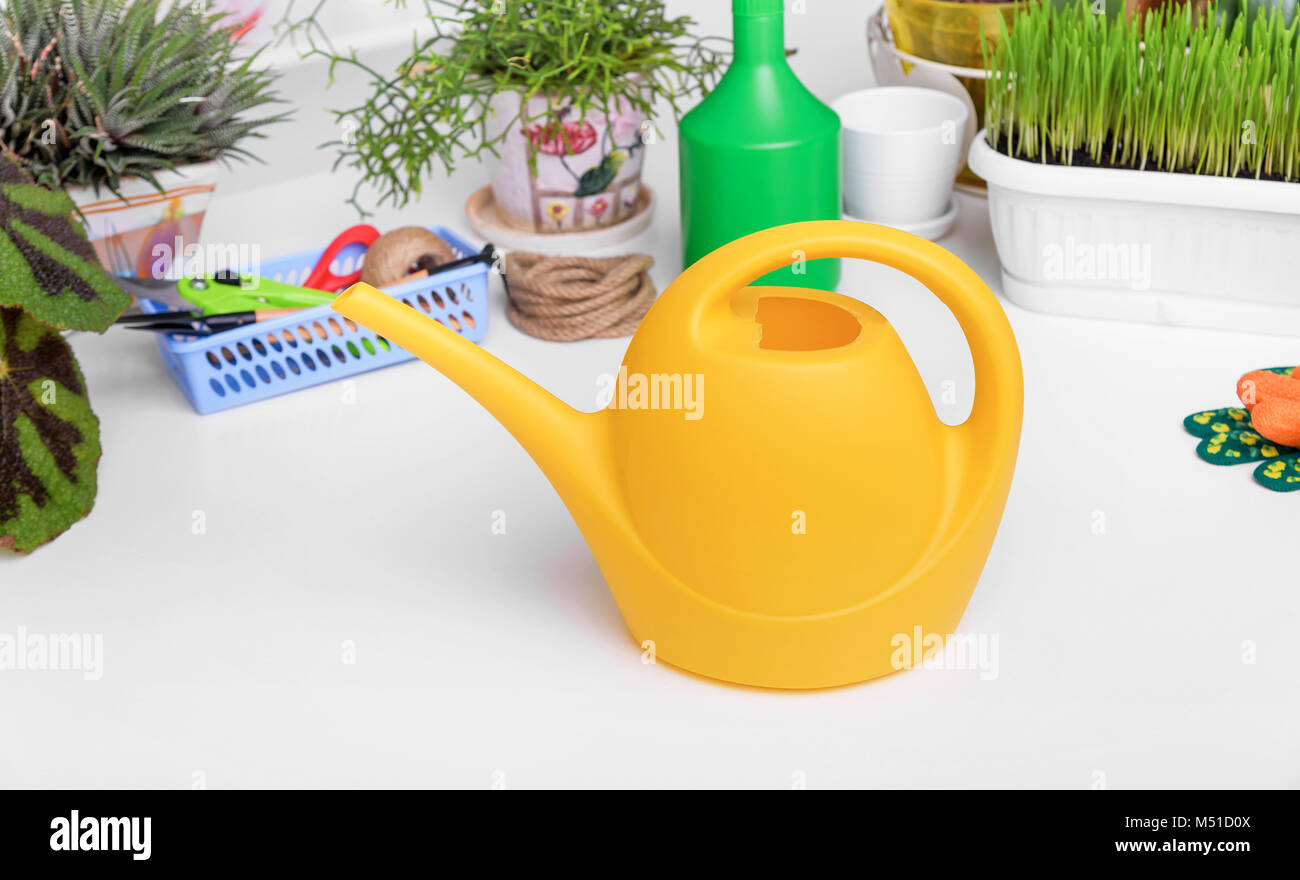 Watering can for watering indoor plants Stock Photo Alamy