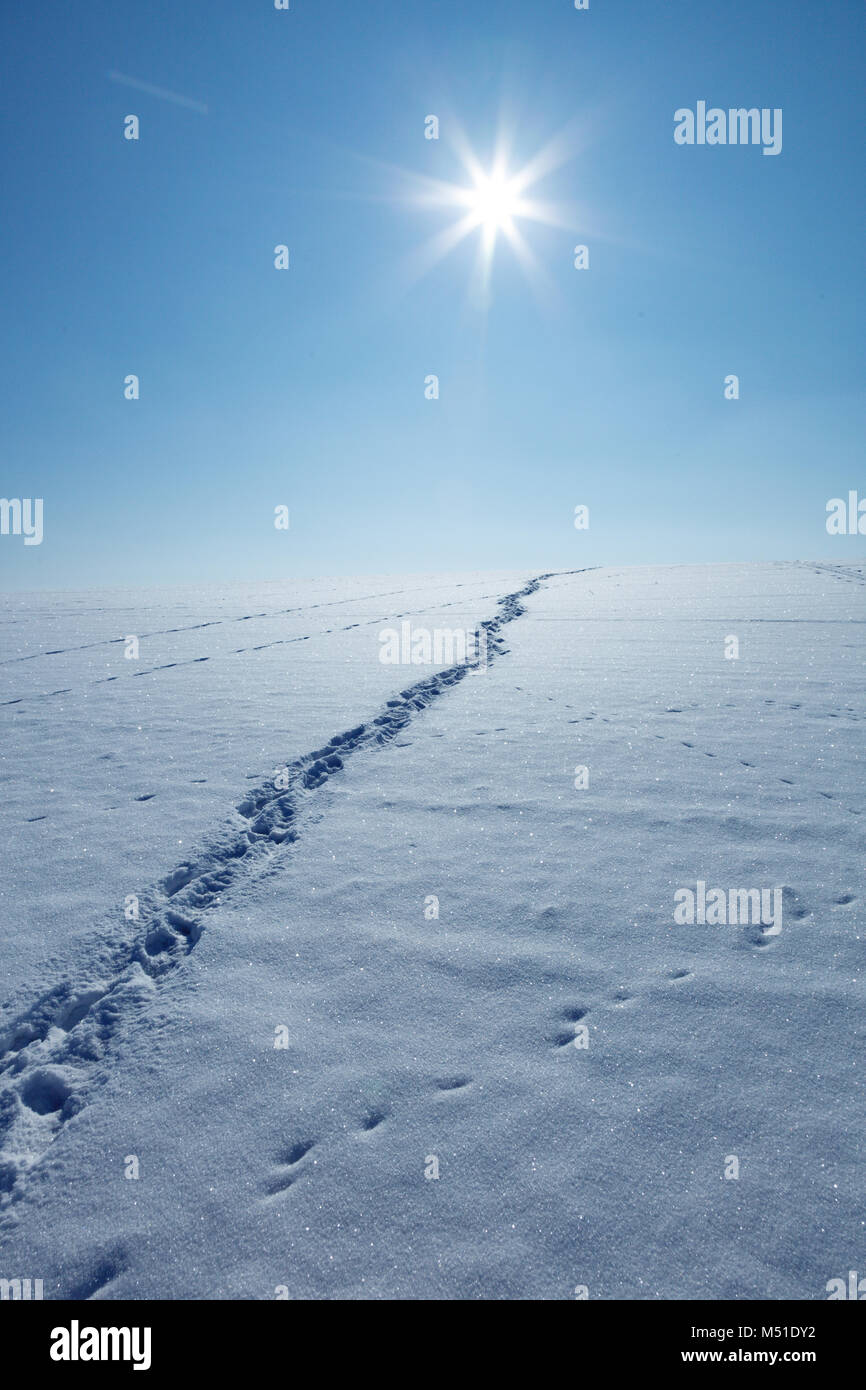 Human traces snow landscape hi-res stock photography and images - Alamy