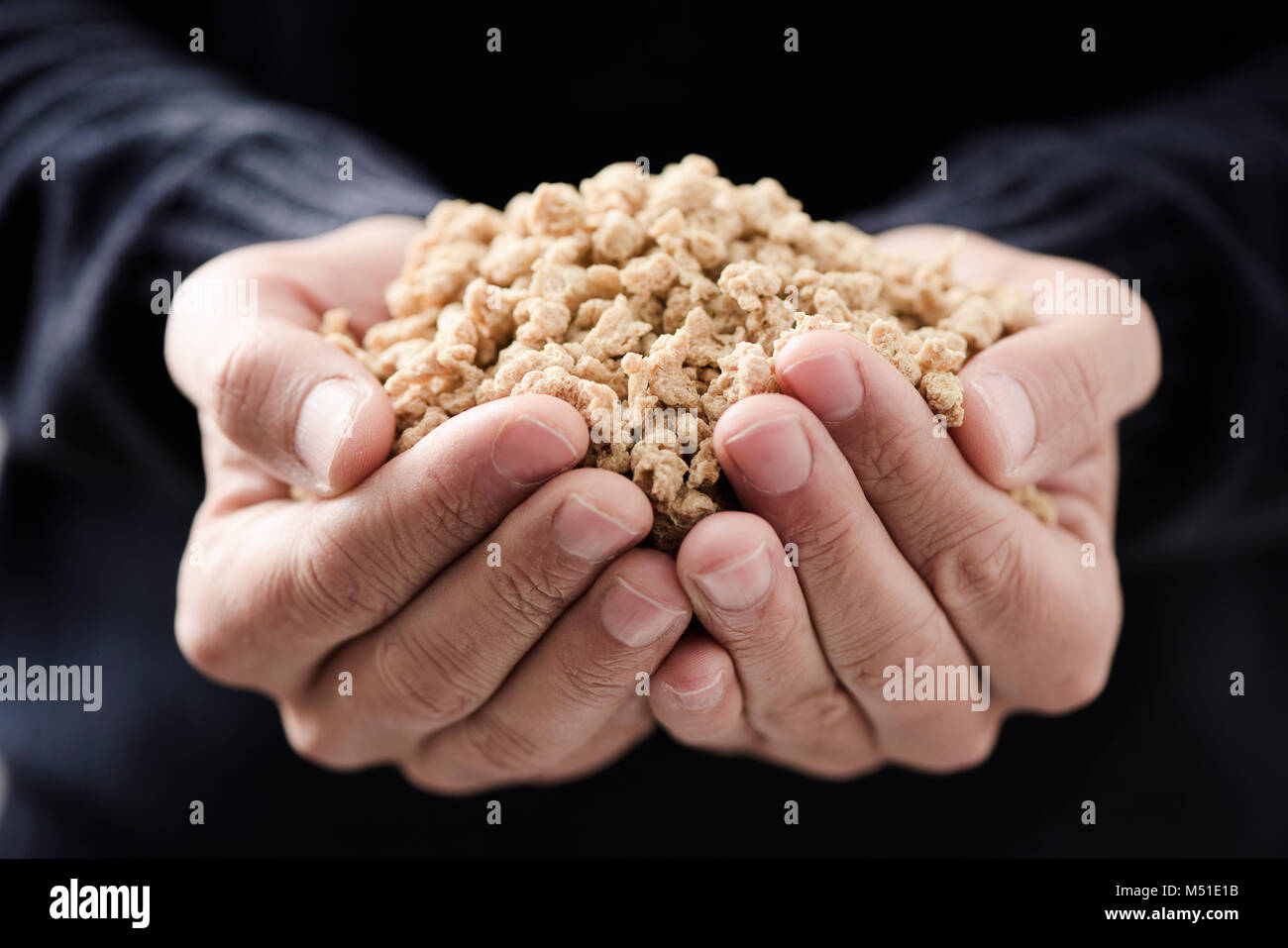 closeup of some chunks of textured soy protein in the hands of a young caucasian man Stock Photo