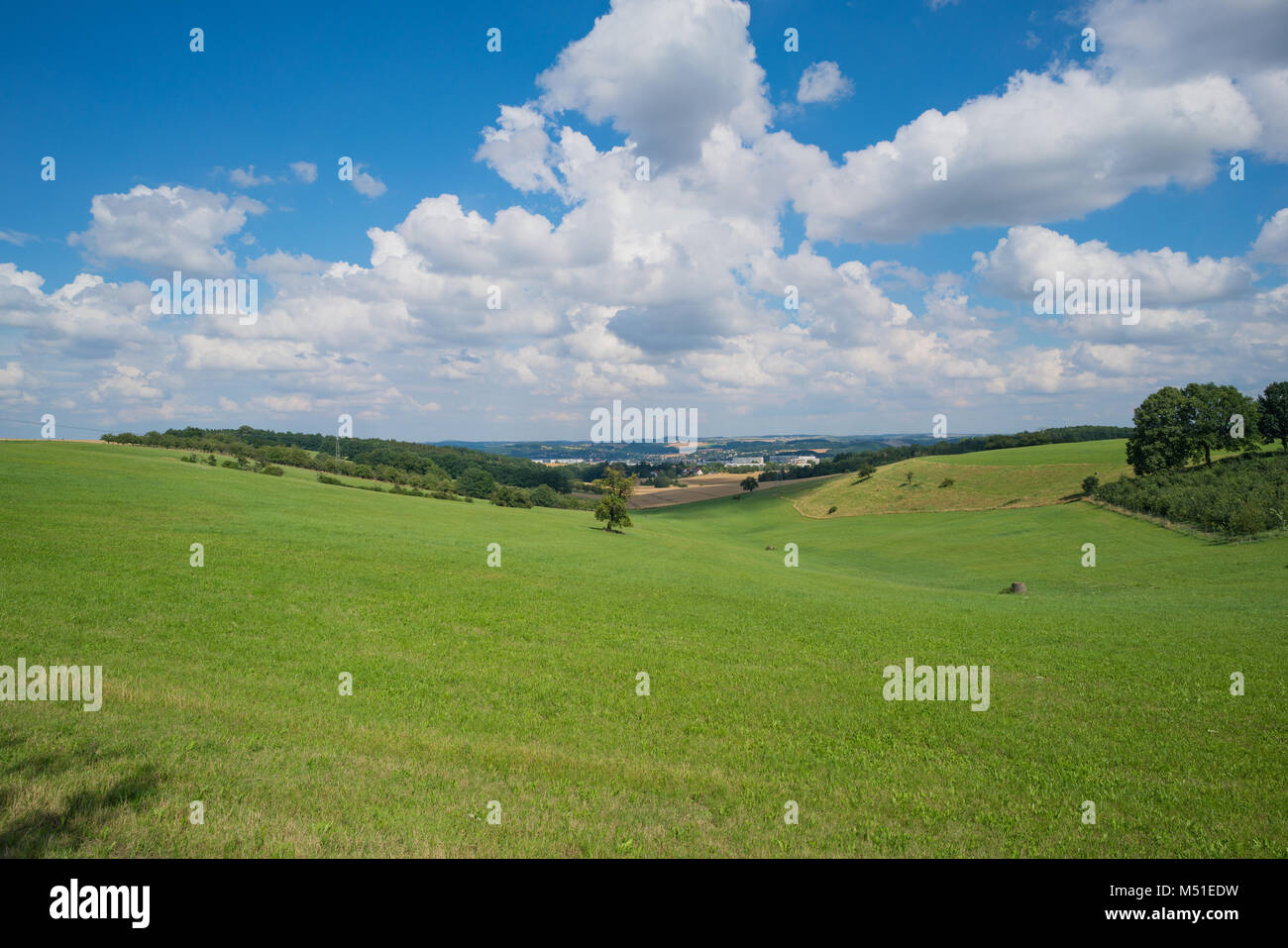 Panorama summer fields Stock Photo