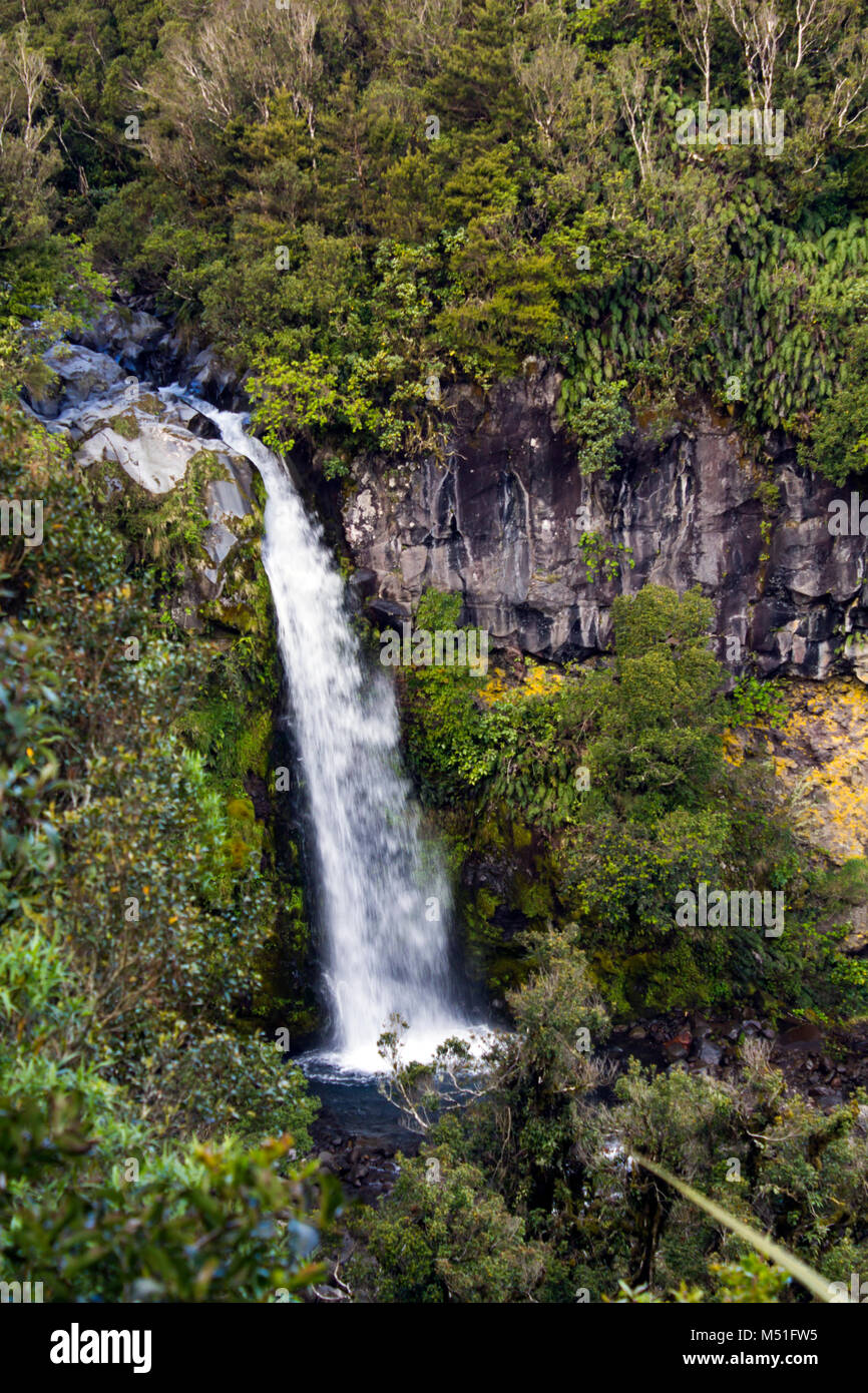 Bridal Veil Falls in New Zealand Stock Photo - Alamy