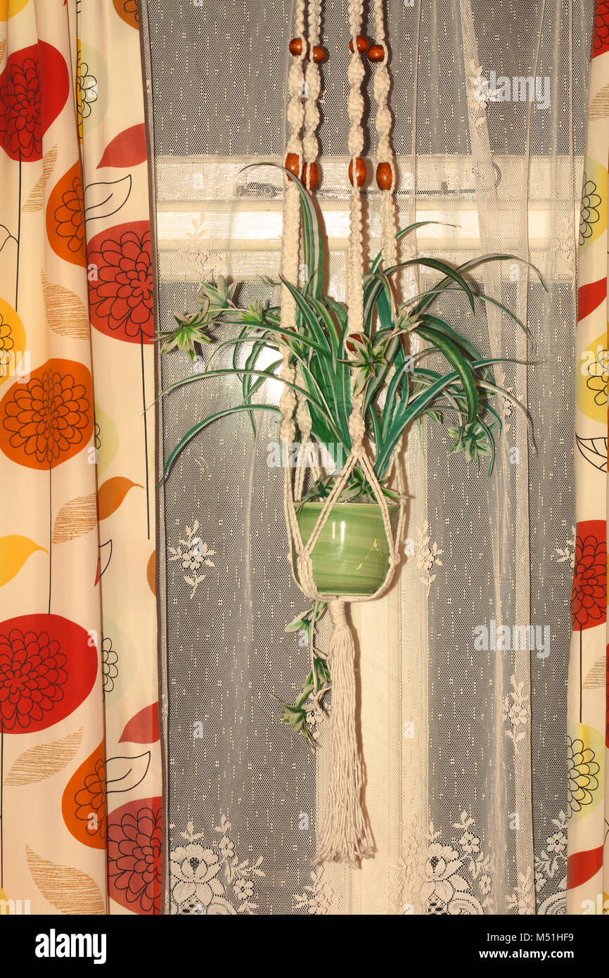 Plant holder hires stock photography and images Alamy