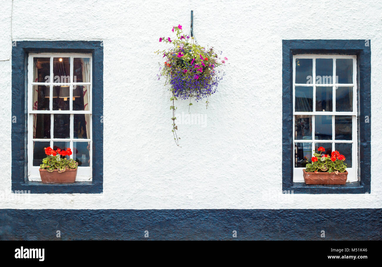 Simple white wall with two windows and flower boxes Stock Photo