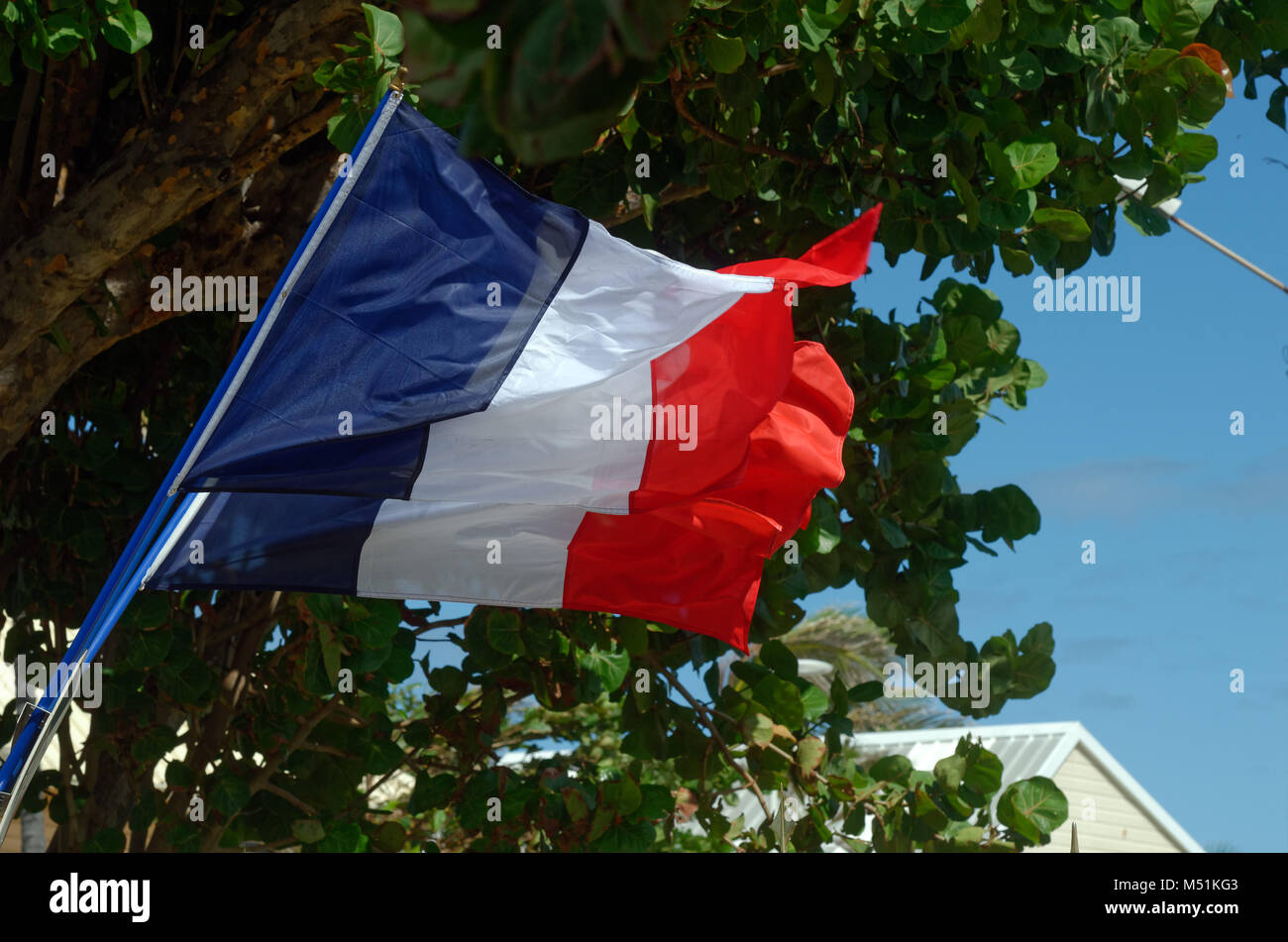 French flag in military ceremony Stock Photo