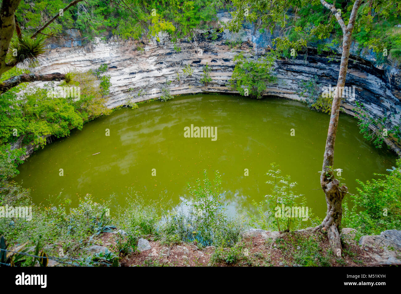beautiful-outdoor-view-of-a-pond-called-