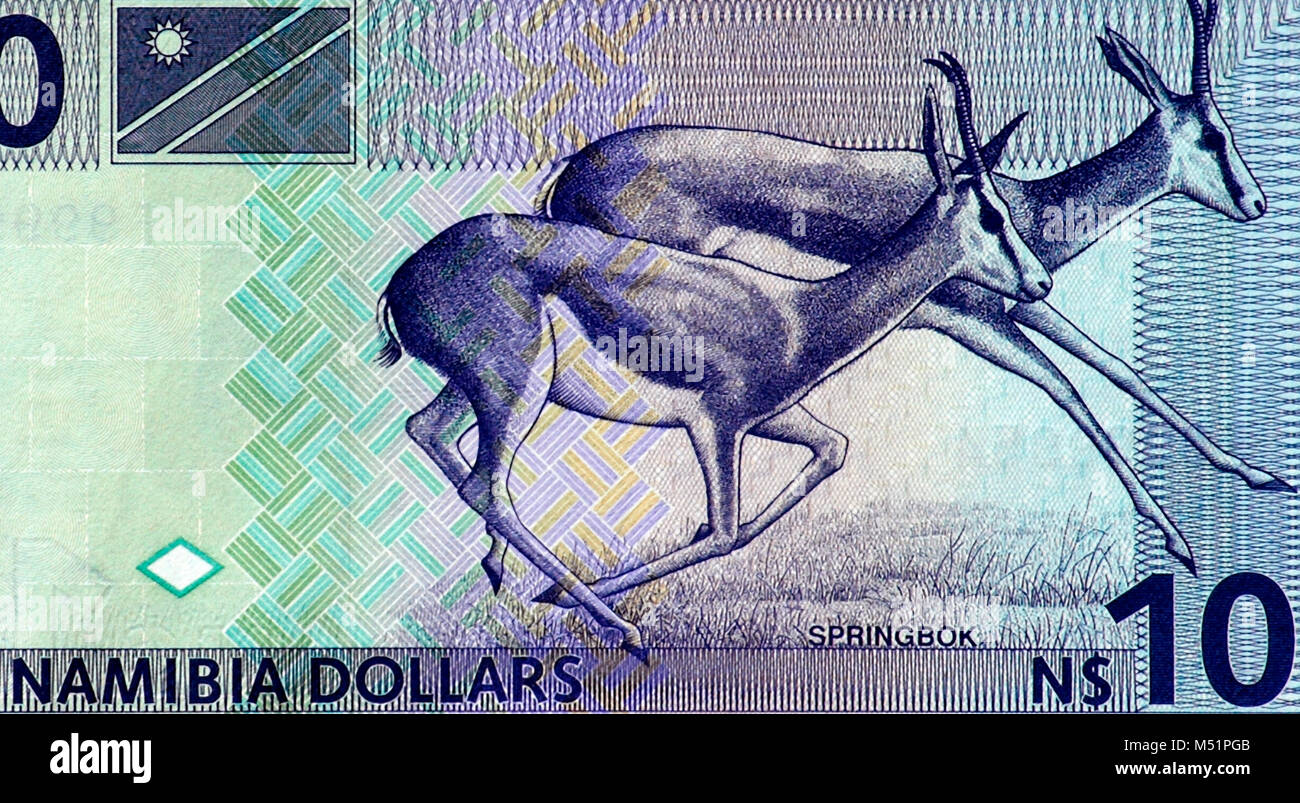 Namibia Ten 10 Dollar Bank Note Stock Photo