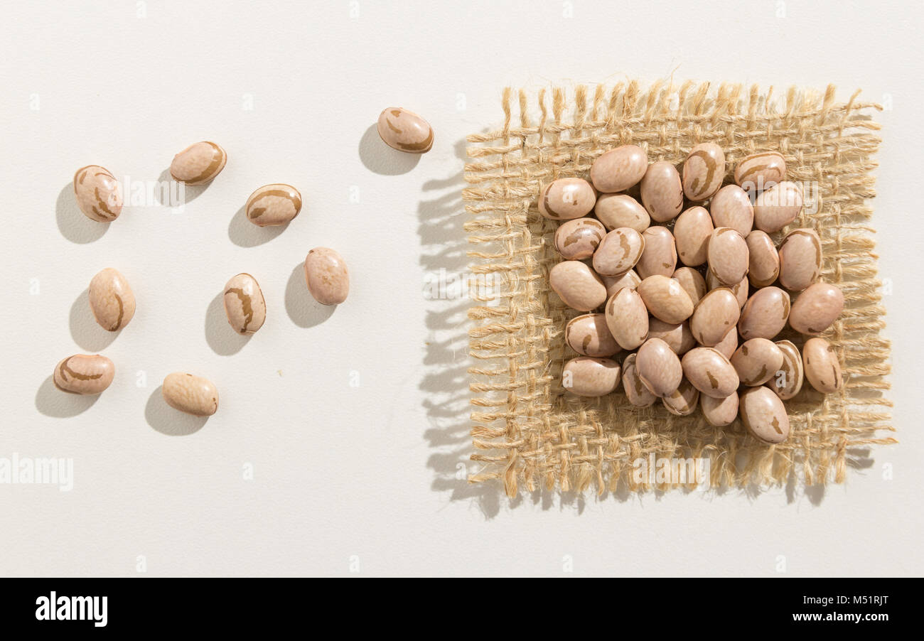 Phaseolus vulgaris is scientific name of Pinto Bean legume. Also known