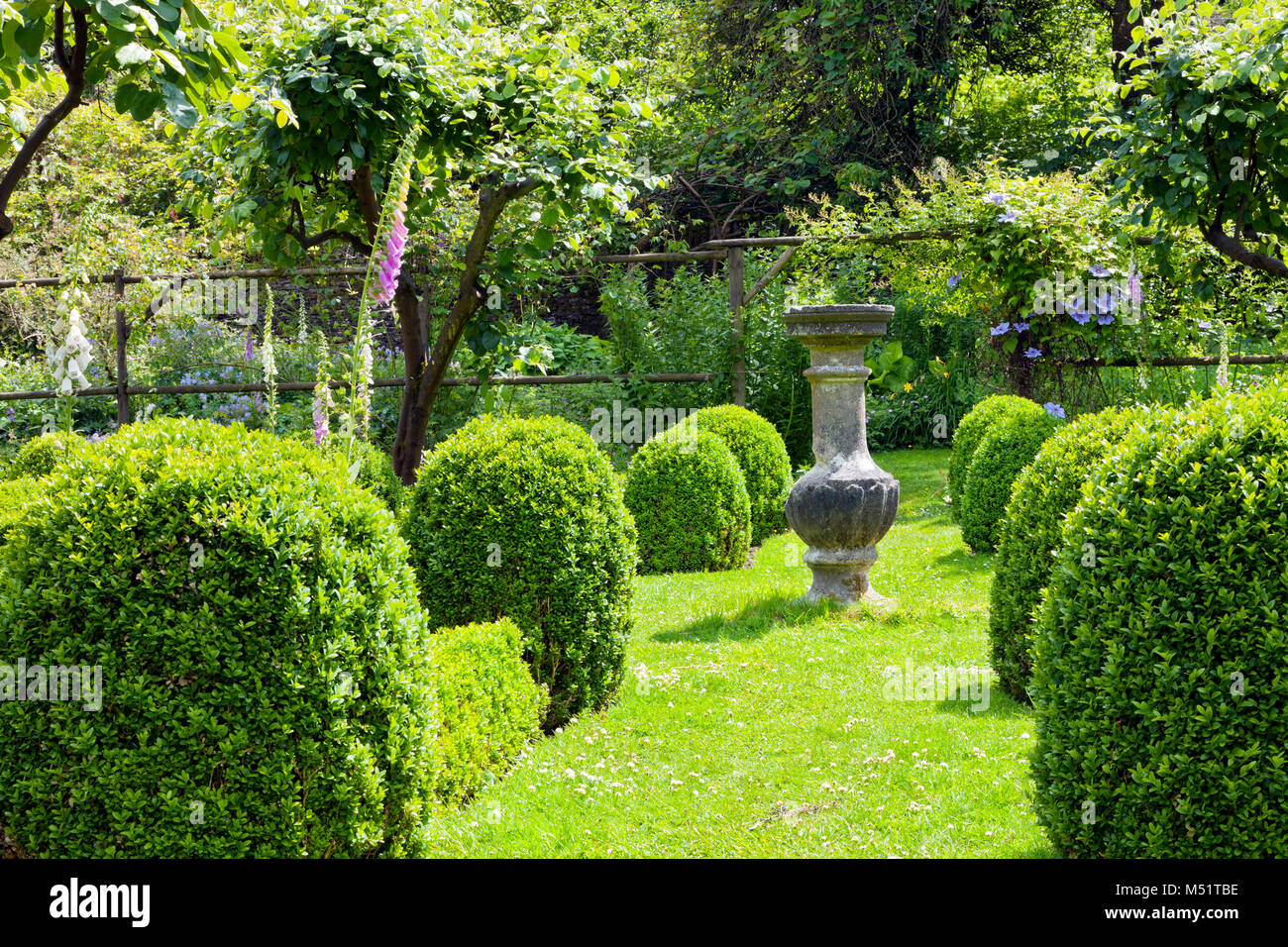 Stone ornamental vase on a grass path between buxus rounded topiary ...
