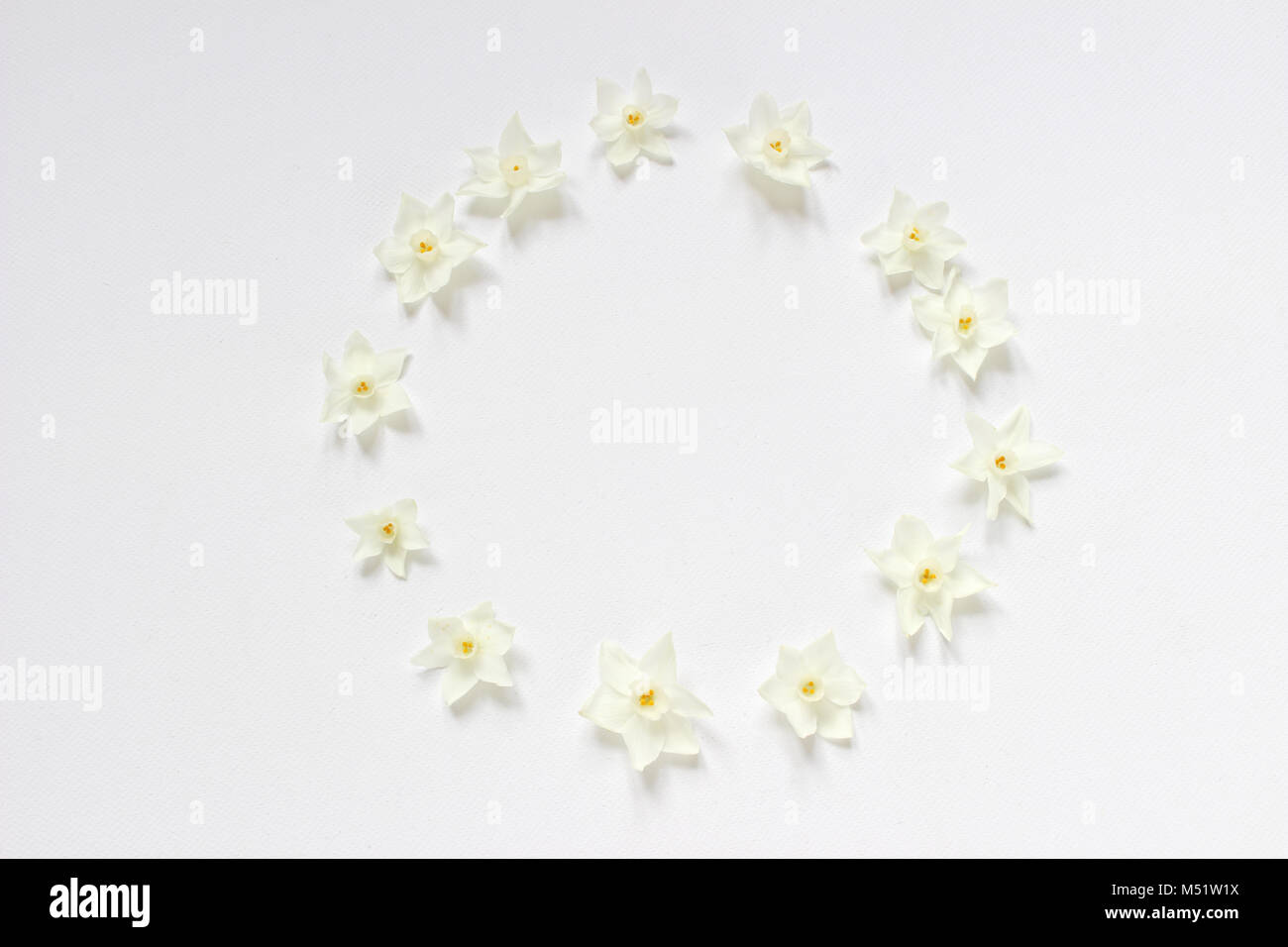 Styled stock photo. Spring, Easter feminine scene floral composition. Round frame wreath pattern made of narcissus, daffodil flowers. White background. Flat lay, top view. Stock Photo