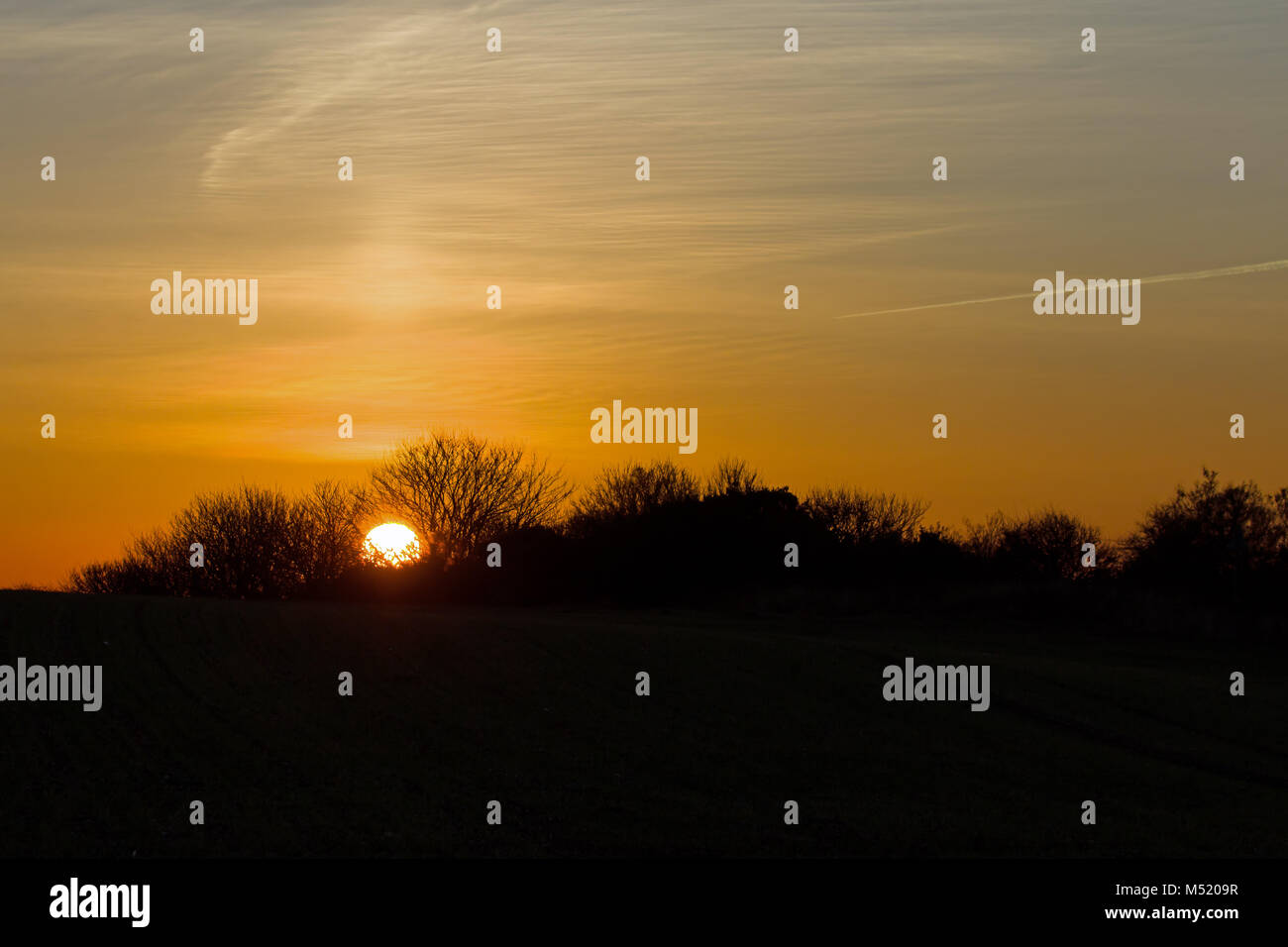 Sunset and Silhouetted Trees Stock Photo