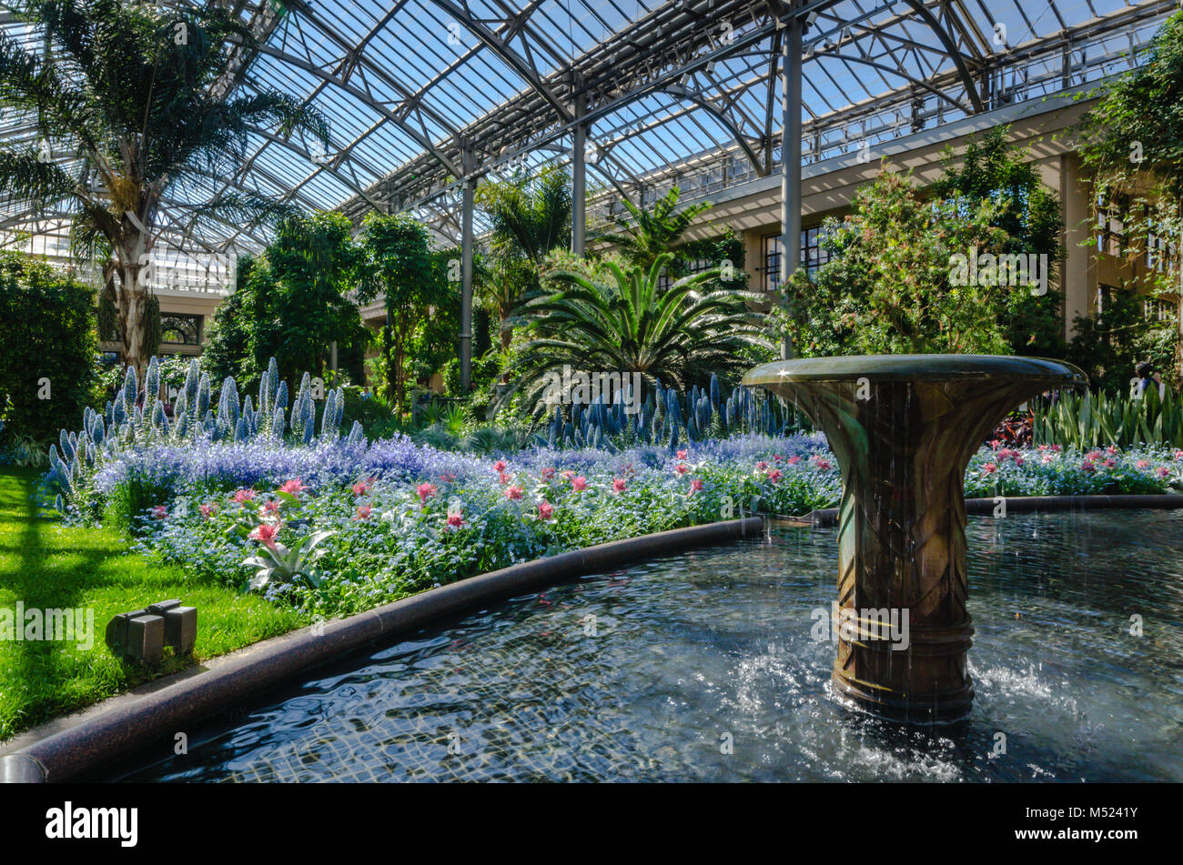 Dramatic greenhouse garden features flowing water fountain and lush display of colorful tropical plants at Longwood Gardens, an American botanical gar Stock Photo