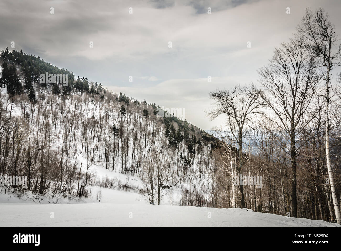 Magic Mountain is a ski resort located on Glebe Mountain in Londonderry, Vermont. It features a