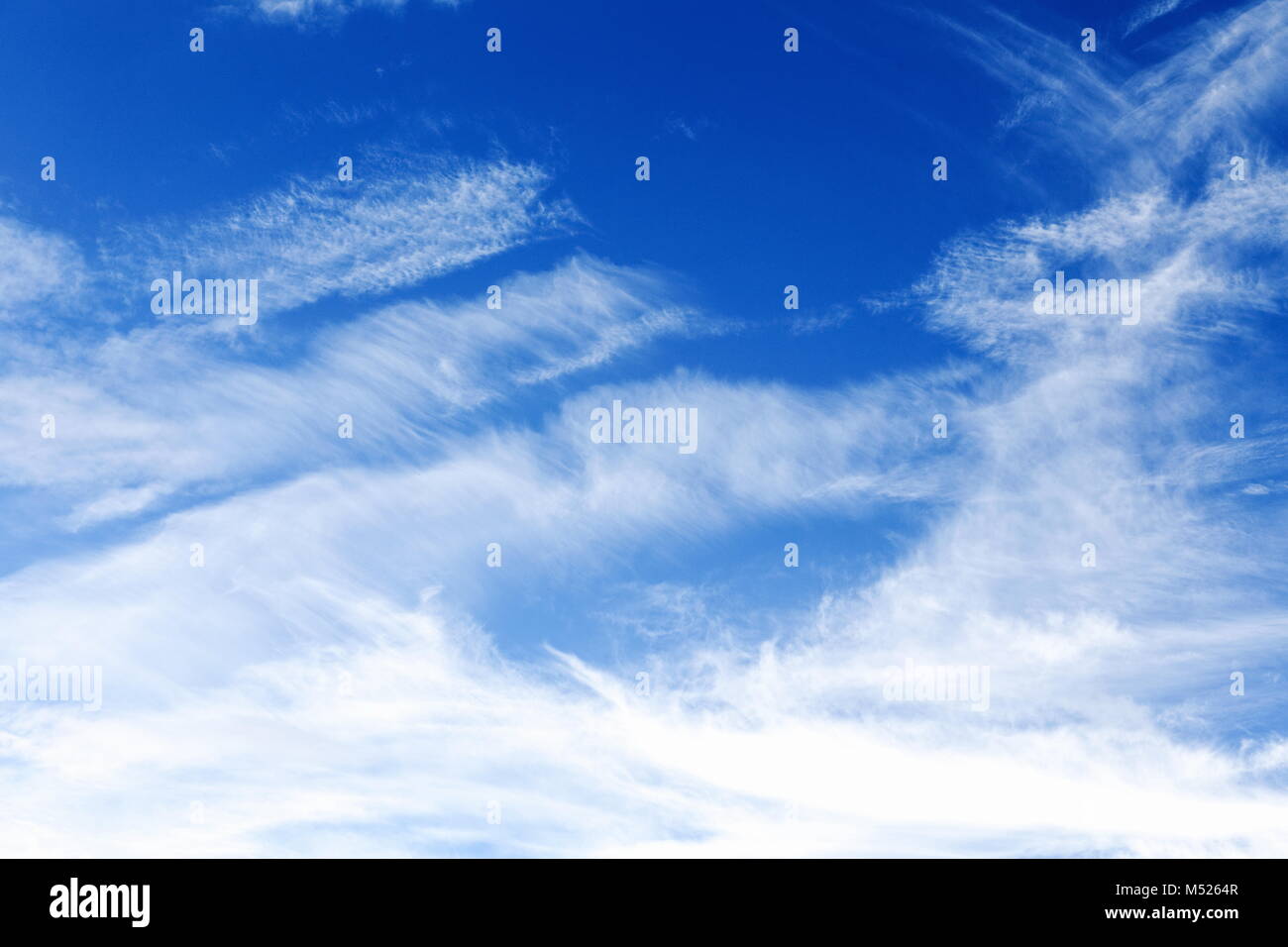 cirrus clouds against a blue sky in summer Stock Photo