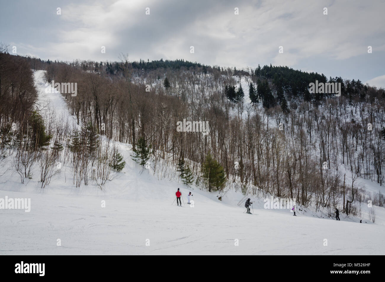Magic Mountain is a ski resort located on Glebe Mountain in Londonderry