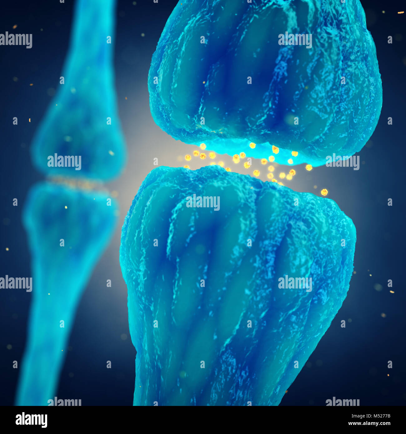 Synaptic transmission , Nervous system, Brain synapses Stock Photo