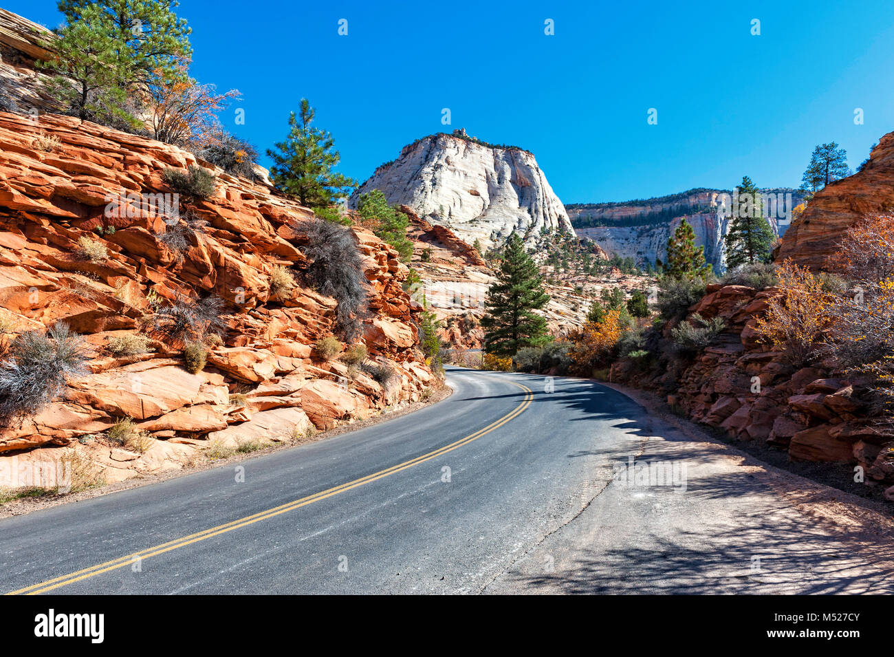 Driving through Zion National Park Stock Photo Alamy