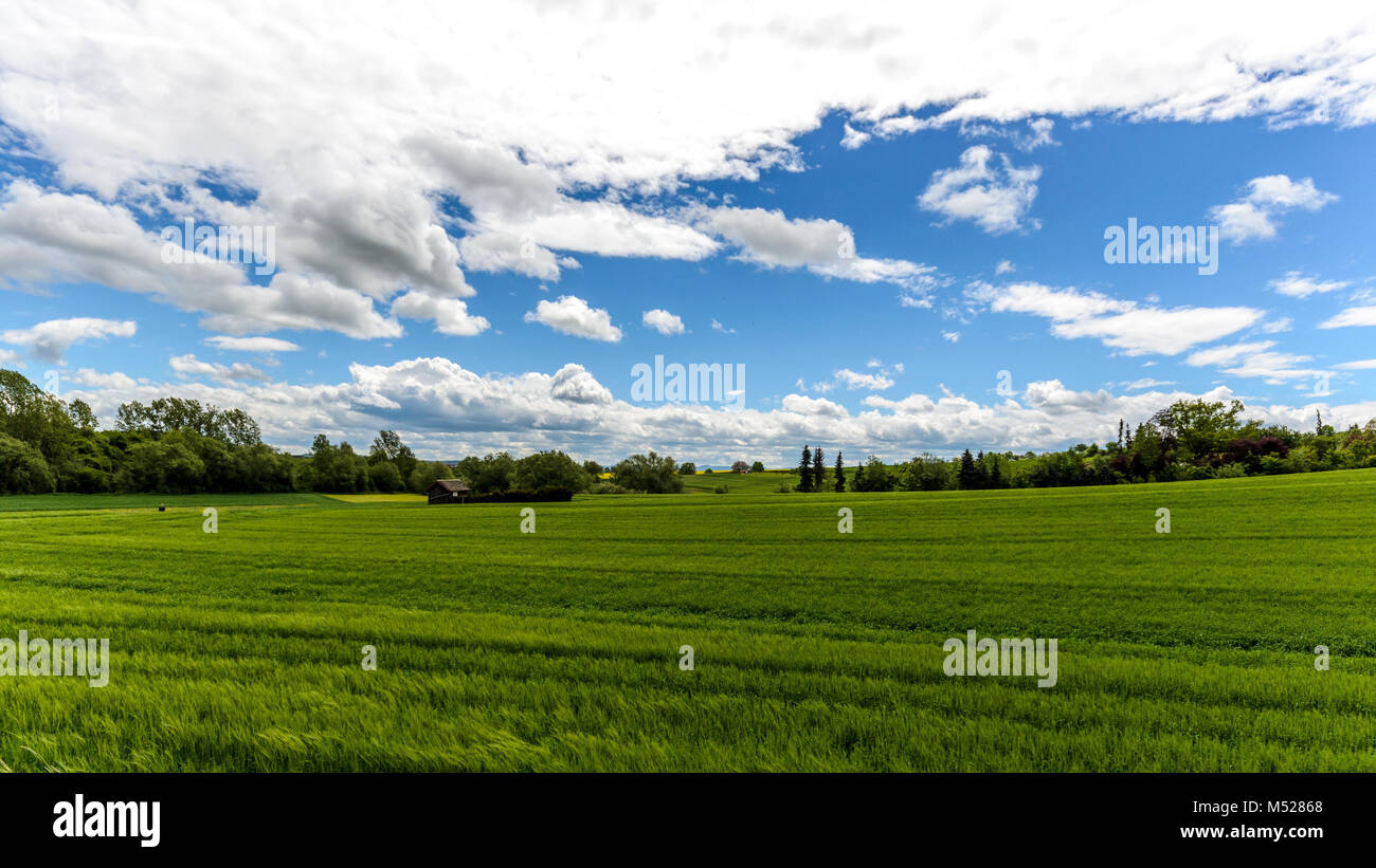 field green blue sky with clouds Stock Photo - Alamy