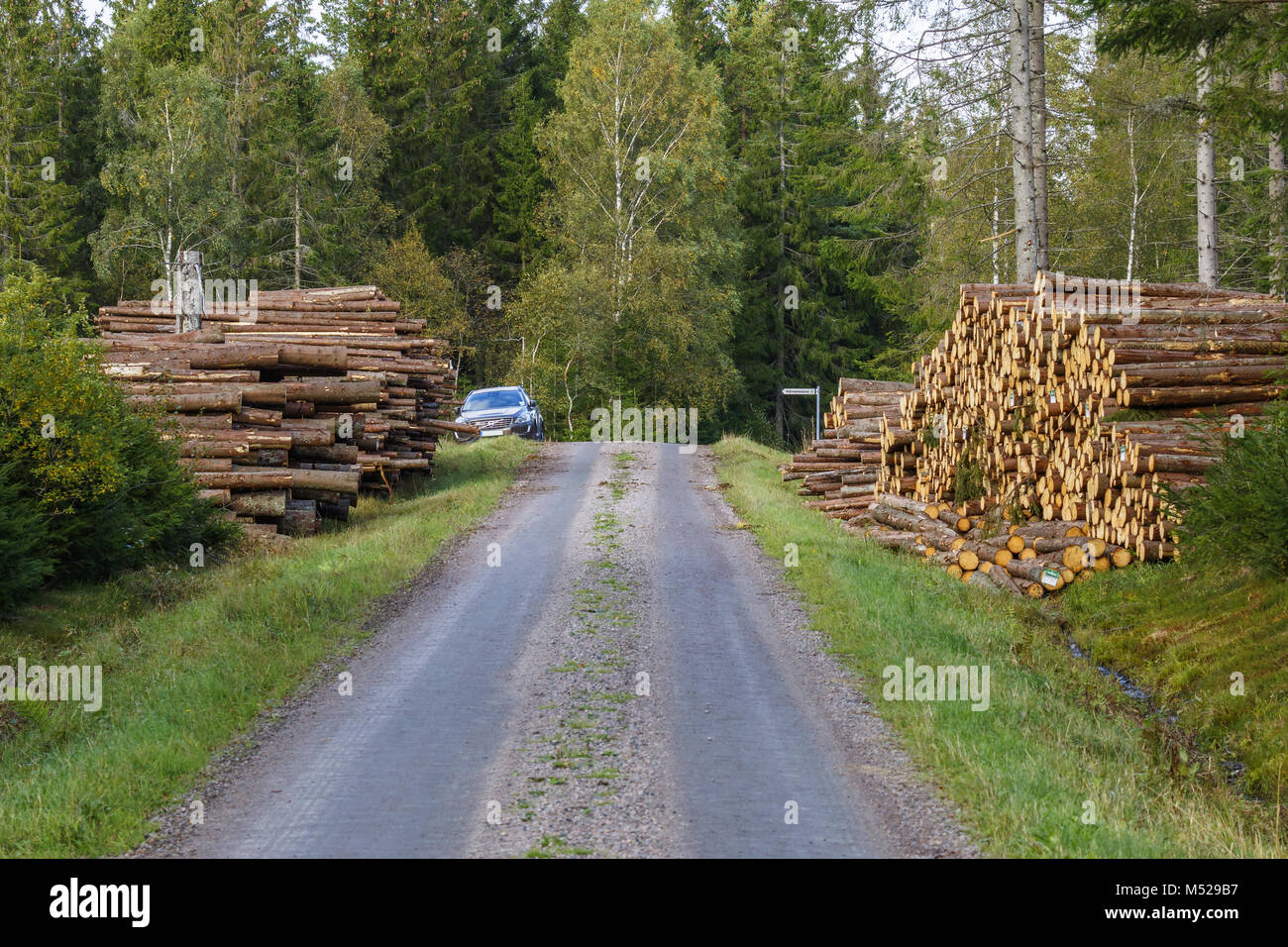 Roadside log piles hi-res stock photography and images - Alamy
