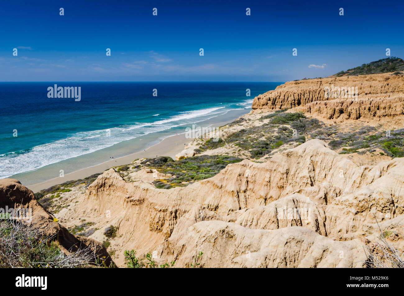 Torrey Pines State Natural Reserve, located within San Diego city limits,  remains one of the wildest stretches of land on our Southern California coa Stock Photo