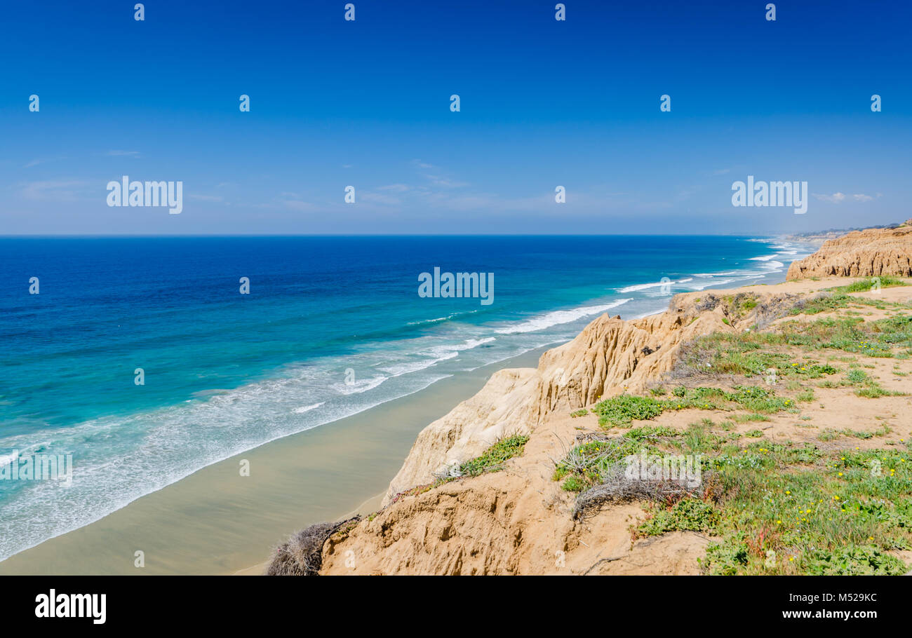 Torrey Pines State Natural Reserve, located within San Diego city limits,  remains one of the wildest stretches of land on our Southern California coa Stock Photo