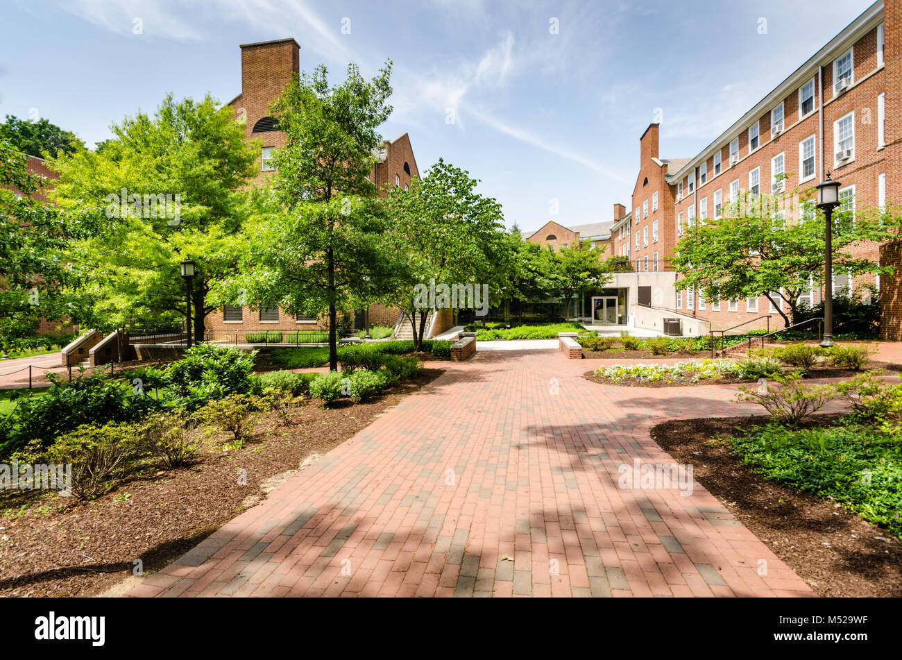 Johns Hopkins University is an American private research university in