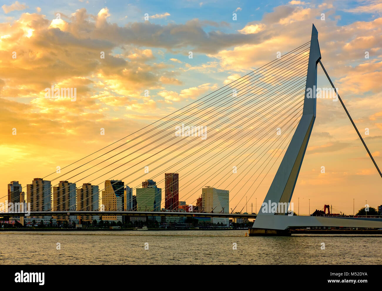 Rotterdam Sunset Rotterdam city cityscape with Erasmus bridge at sunset Stock Photo - Alamy