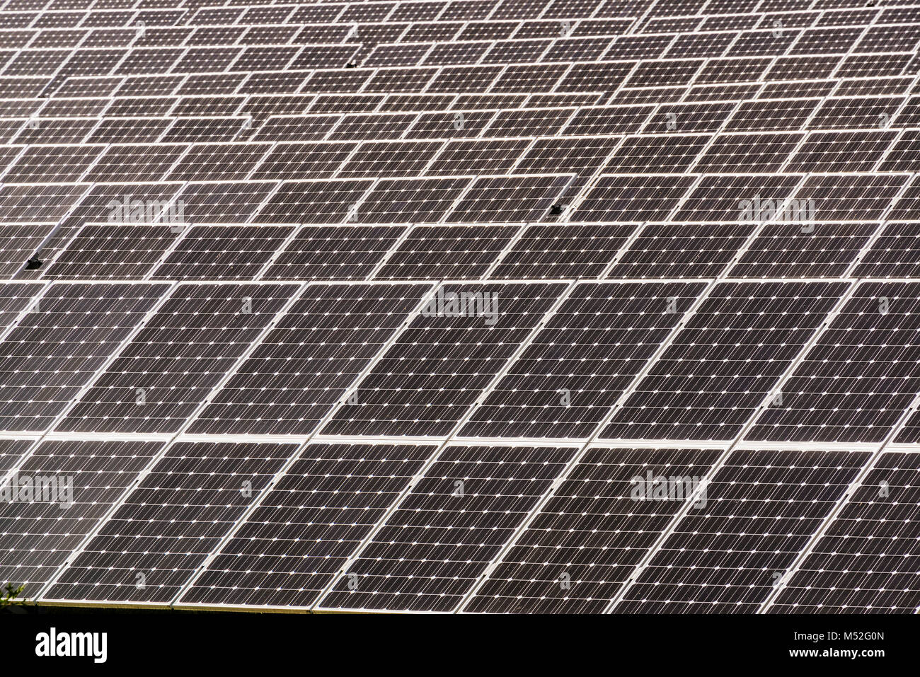 Solar Farm   Westfield, Massachusetts, USA Stock Photo