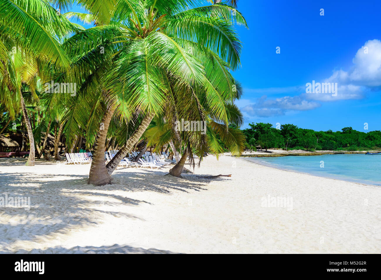 Tranquil caribbean beach palm hi-res stock photography and images - Alamy