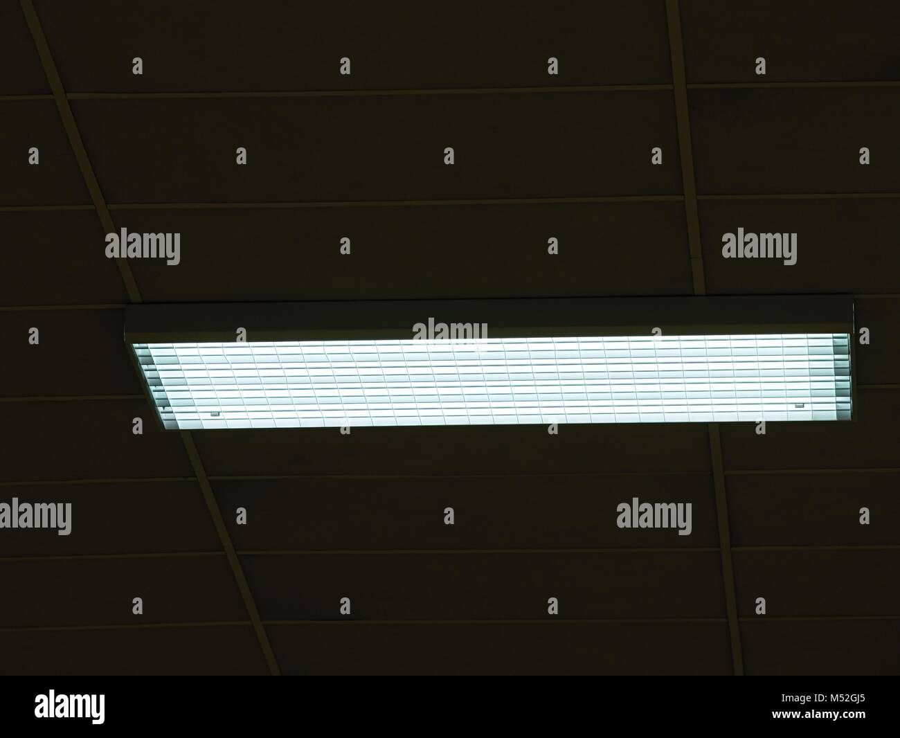 Ceiling Of Office Building With Lights Industry House With Blue