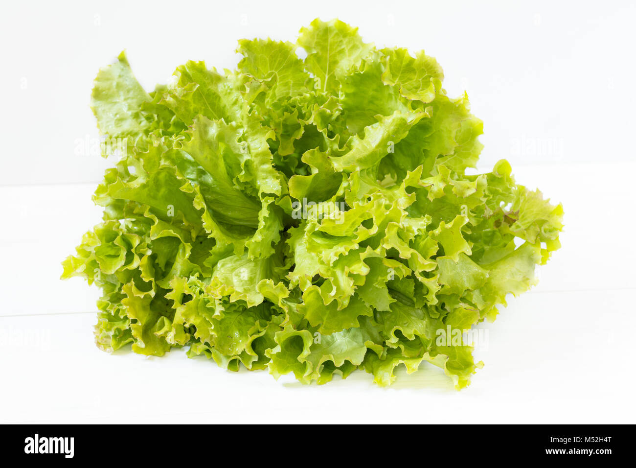 Frisee Lettuce High Resolution Stock Photography And Images Alamy