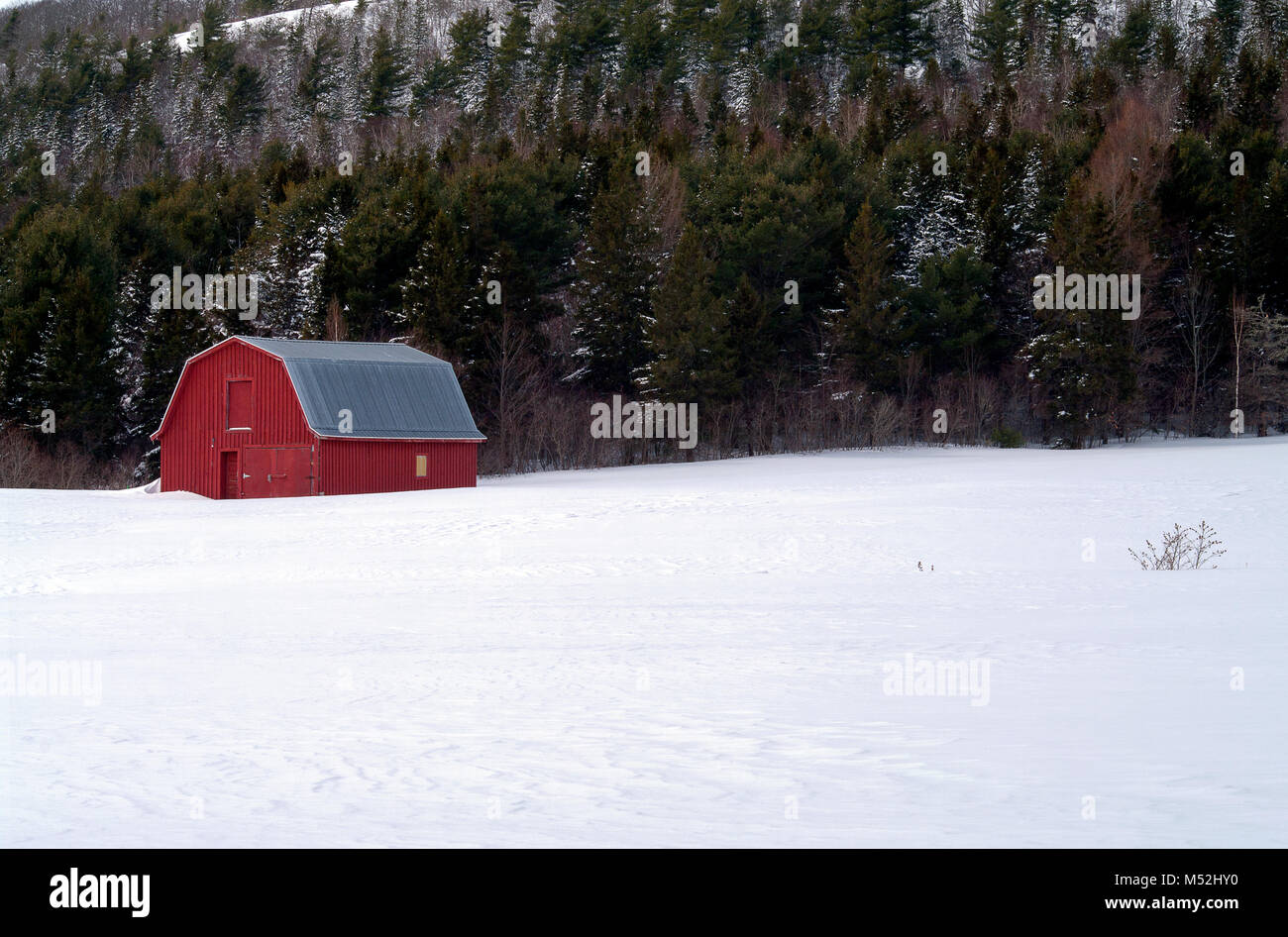 Red Barn in a snowy field Stock Photo - Alamy