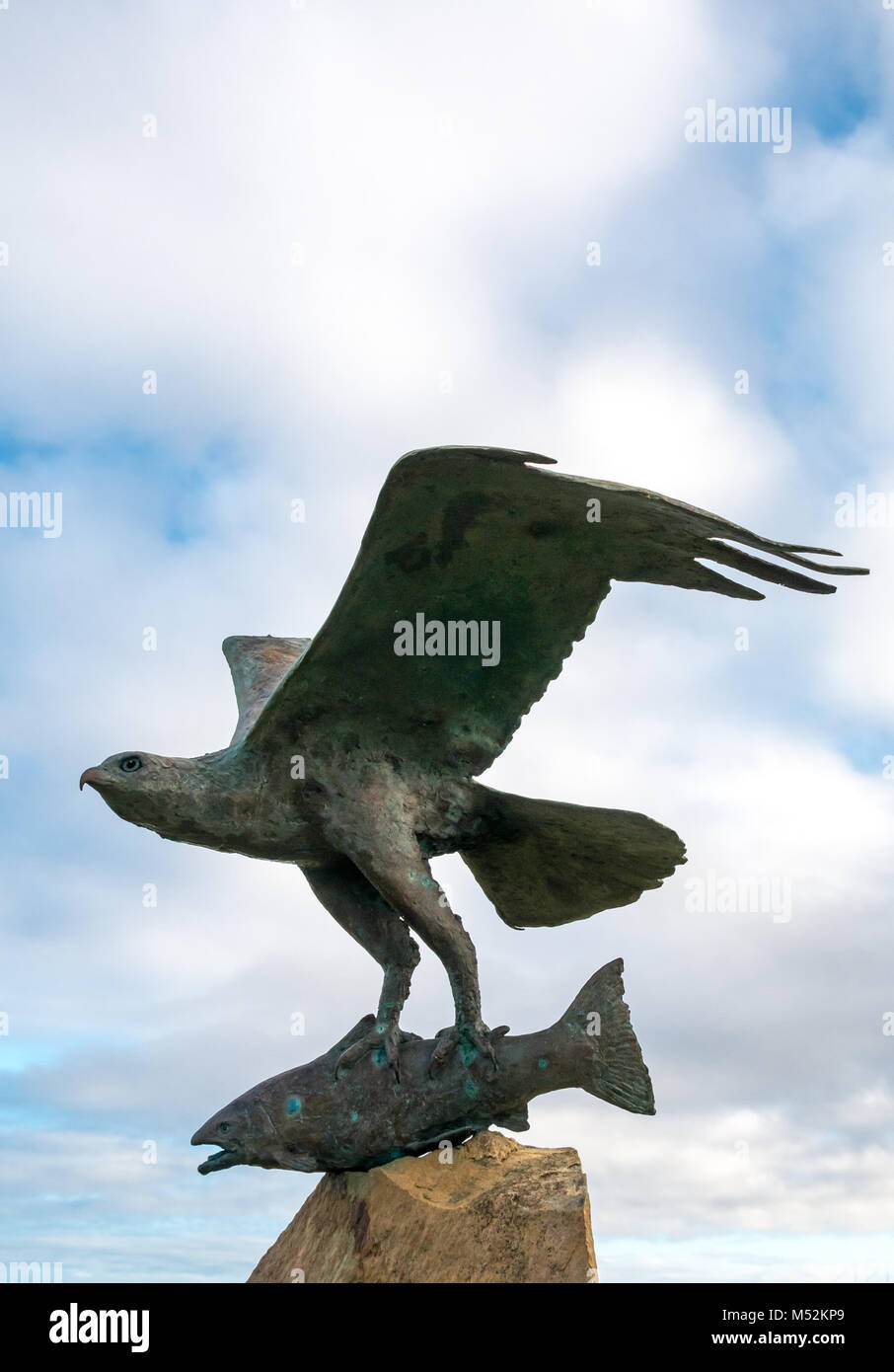 Osprey with fish catch bronze sculpture, mouth of River Spey, Spey Bay, Moray, Scotland, Uk Stock Photo