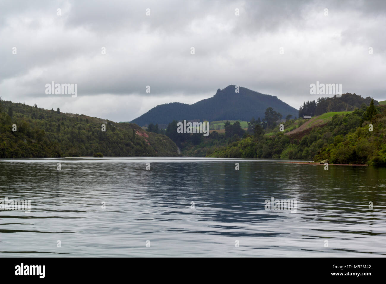 Stunning New Zealand landscape, river and meadows in the bakground Stock Photo
