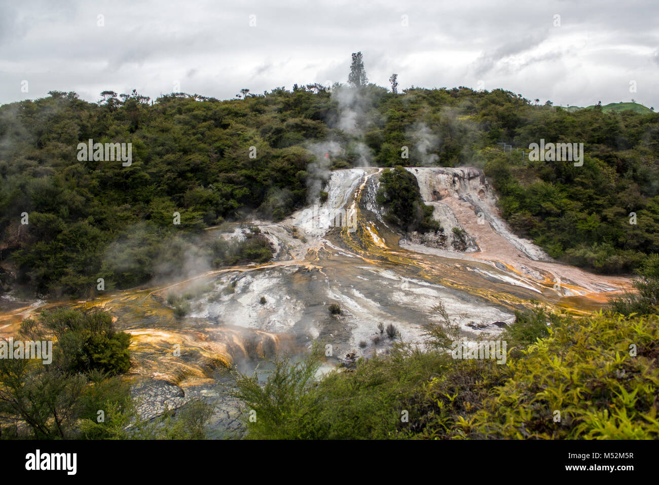 Geothermal Rainbow and Cascade Terrace, hot springs and steam rising, New Zealand Stock Photo
