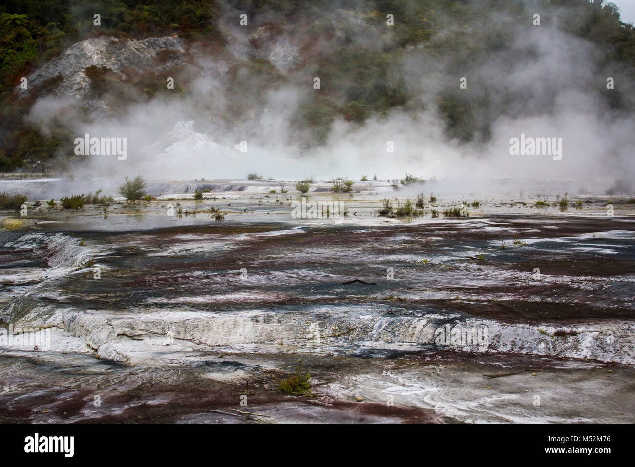 Geothermal activity, volcanic area and steam, Orakei Korako park, New Zealand Stock Photo