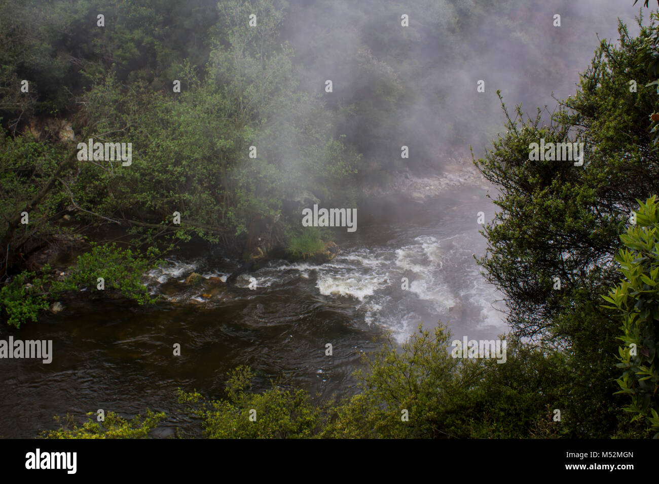 Hot Spring Flow Geothermal Steam Flows from Hot Spring Stock Photo - Alamy
