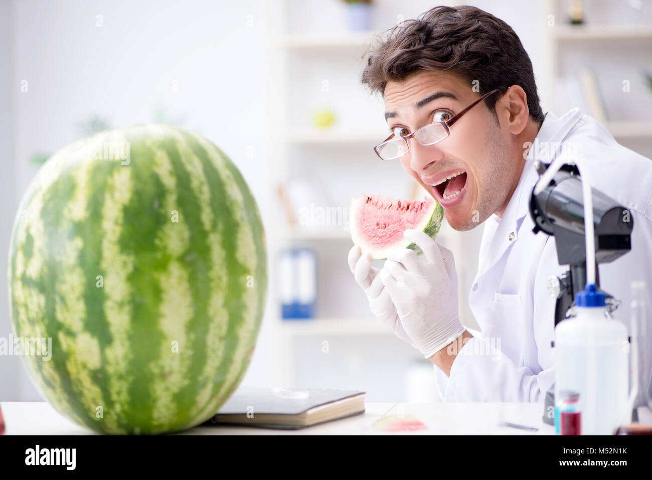 Watermelon Lab Lab te hi-res stock photography and images - Alamy